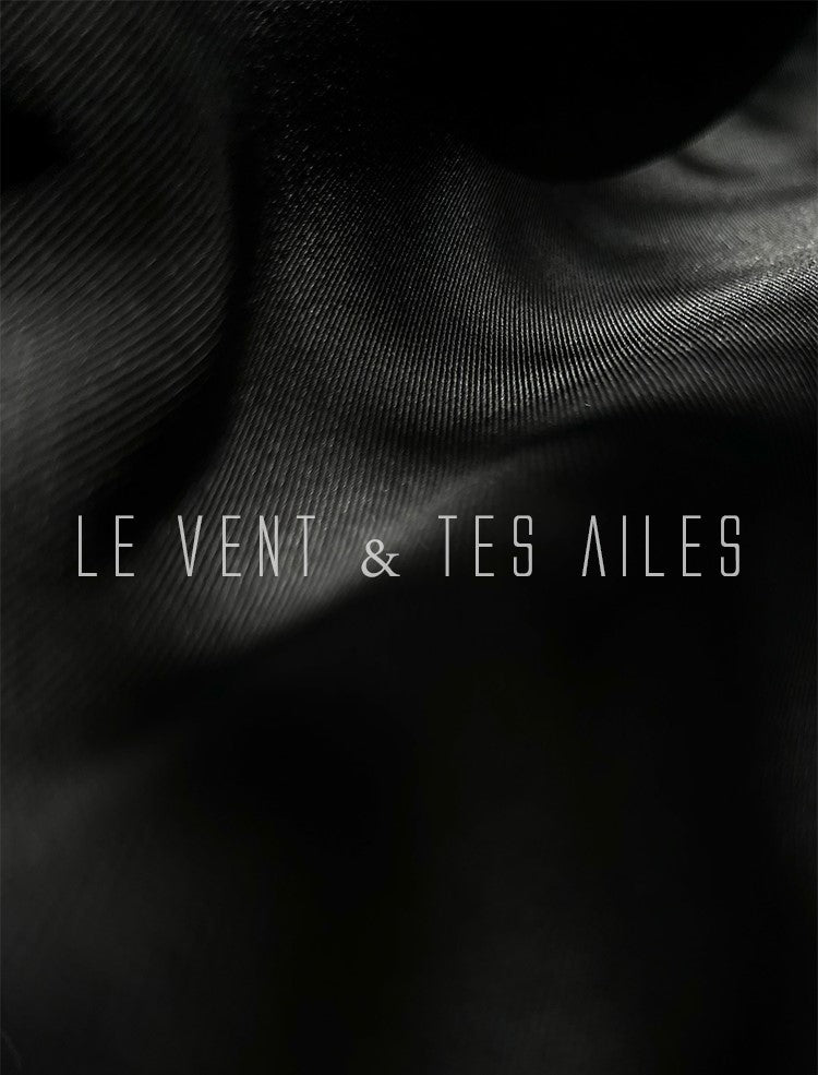 LE VENT&TES AILES minimalist silhouette high-stretch silk straight-leg suit pants-NINA