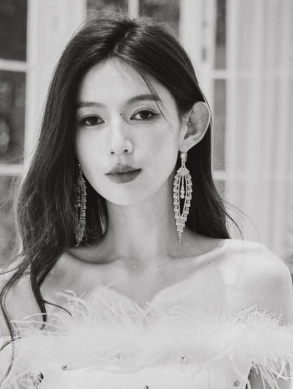 DOLLY Luxury Sparkling Full Diamond Chic Tassel Earring-CAROL