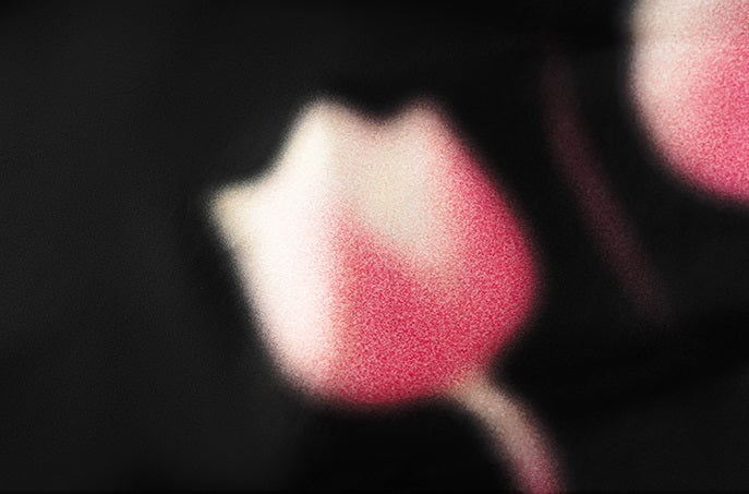 HECO Chinese high-end acetic acid skirt summer tulip print drape - ESSENCE.