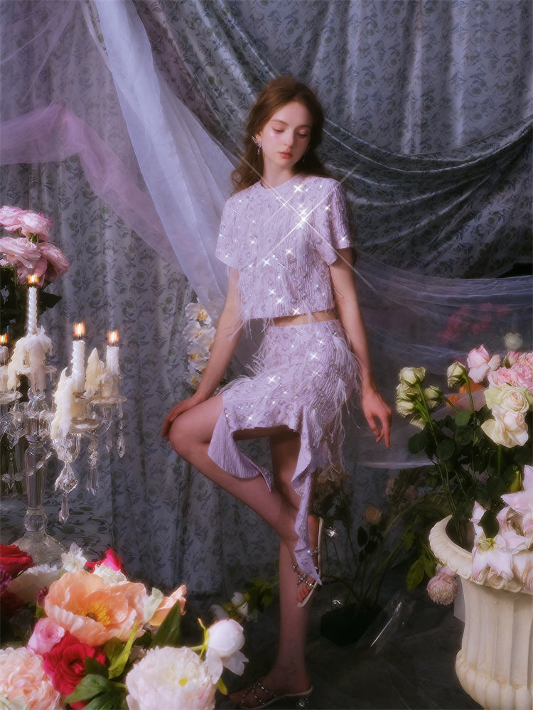 Wardrobes by Chen Elegant Short Sleeve Diamond Feather Top/Short Skirt- Milo