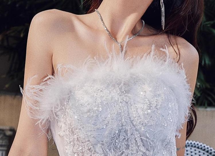 DOLLY Elegant Sleeveless Feather Tube Top Embroidery Long Tutu Dinner Dress-KYLIE