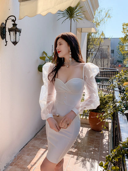 DOLLY Elegant White/Black V-Neck Mesh Long Puff Sleeve Slim Fit Dress-HAN