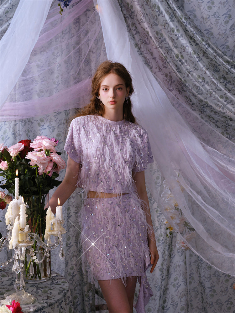 Wardrobes by Chen Elegant Short Sleeve Diamond Feather Top/Short Skirt- Milo