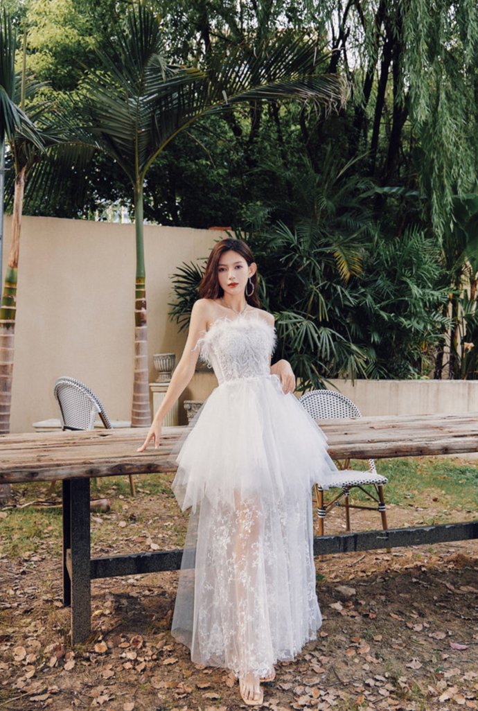 DOLLY Elegant Sleeveless Feather Tube Top Embroidery Long Tutu Dinner Dress-KYLIE