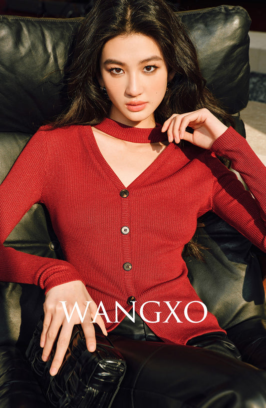 WANGXO | Double-Woven Crushed Silver Silk Knit V-Neck Slim-Fit Top-YANI.