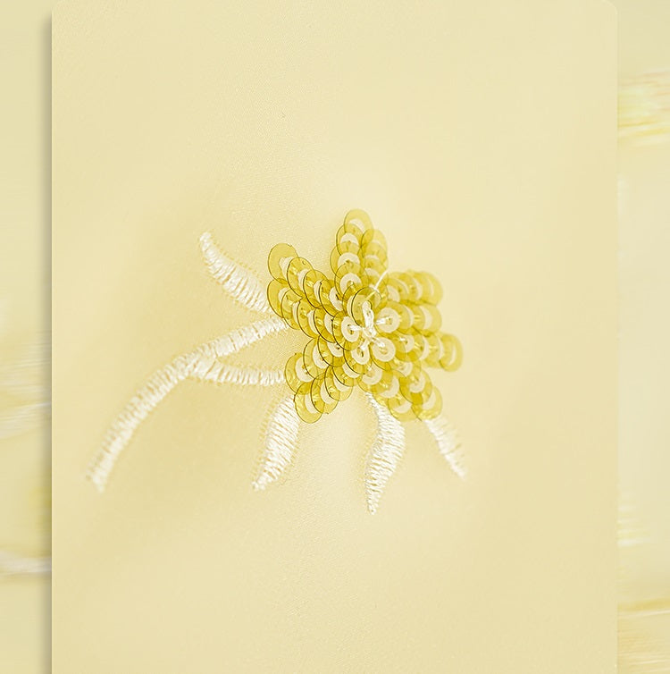 HECO Chinese double-layer tulle flesh covering elastic ballet style vest two-piece - LEVI.