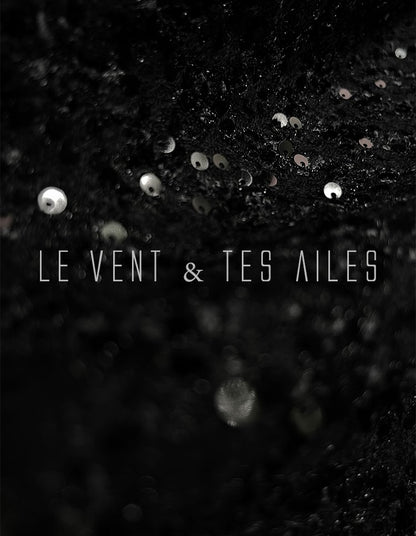 LE VENT&TES AILES Galaxy Luxury Weaving Feminine Sequin Tweed Skirt-ZOYA