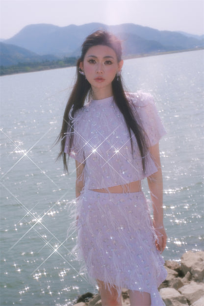 Wardrobes by Chen Elegant Short Sleeve Diamond Feather Top/Short Skirt- Milo