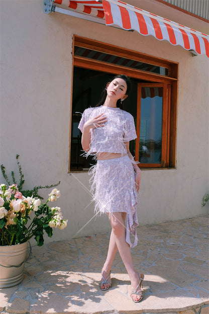 Wardrobes by Chen Elegant Short Sleeve Diamond Feather Top/Short Skirt- Milo
