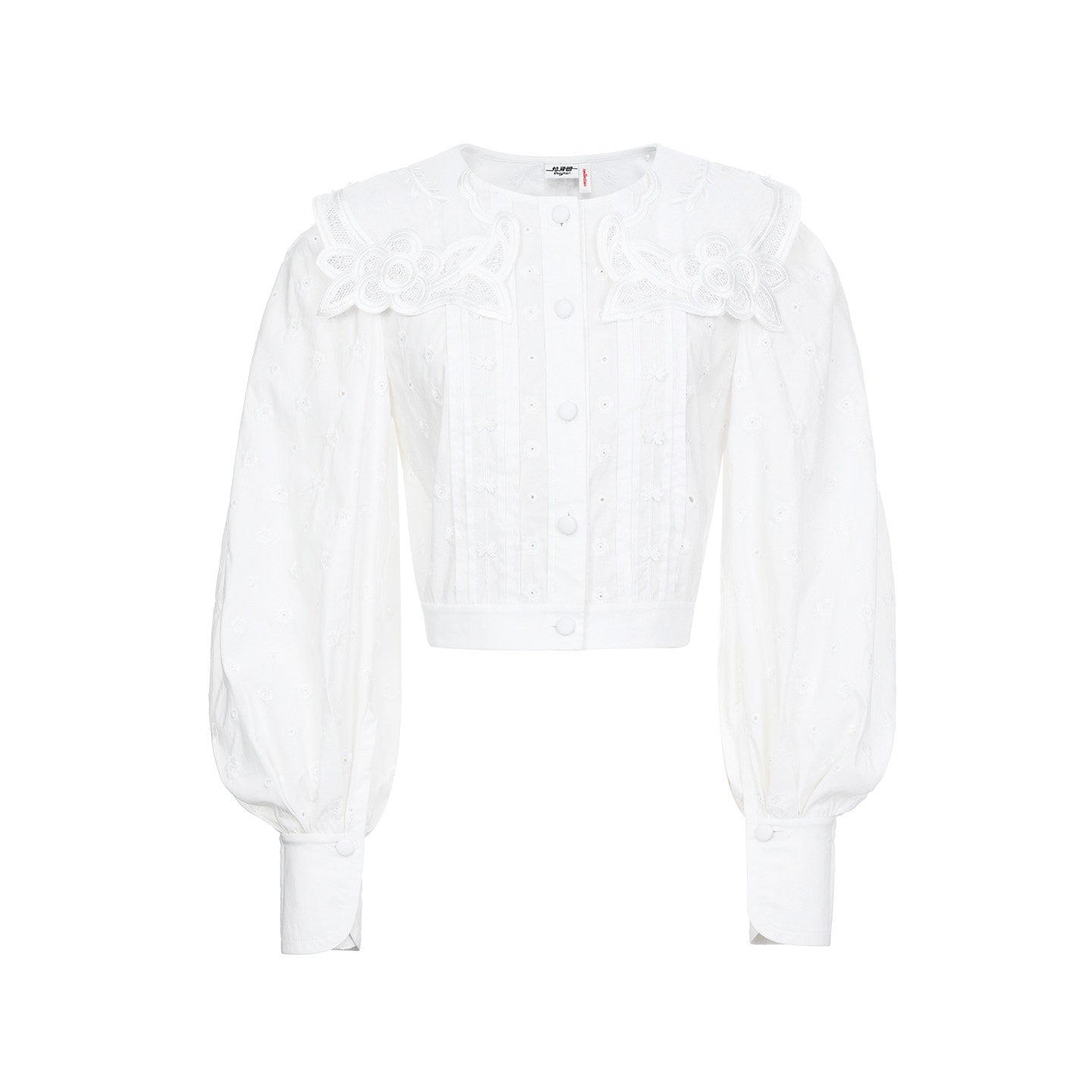 FAME Embroidered Shawl Collar Court Style Top - JERICHO