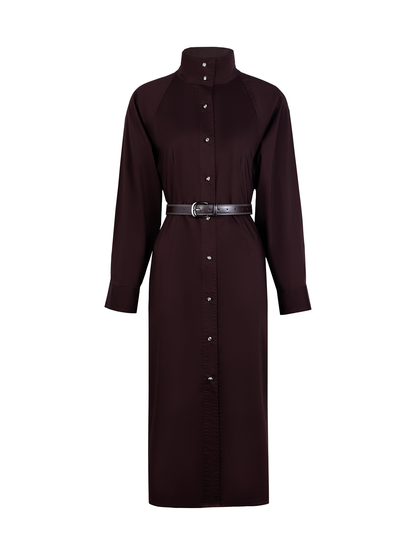AUI Mocha Mousse Polo Collar Cinched Waist Long Sleeve Straight dress - Ji-Yoo