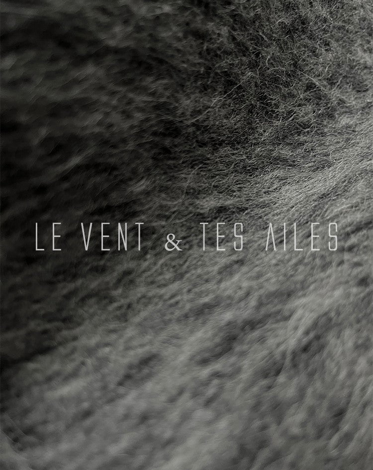 LE VENT&TES AILES French luxury fine long color-block wool coat -ALEC.