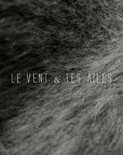 LE VENT&TES AILES French luxury fine long color-block wool coat -ALEC.