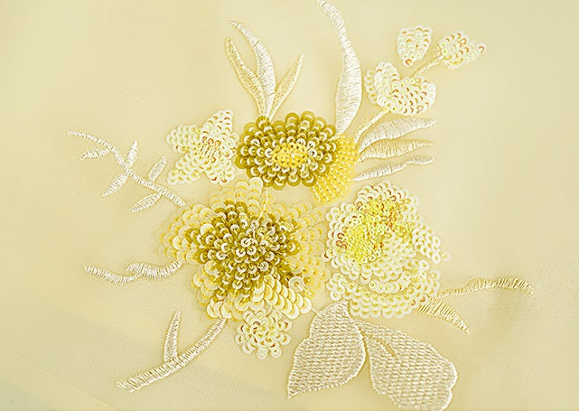 HECO Chinese double-layer tulle flesh covering elastic ballet style vest two-piece - LEVI.