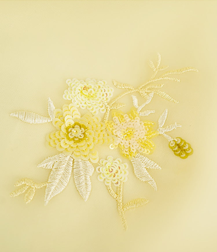 HECO Chinese double-layer tulle flesh covering elastic ballet style vest two-piece - LEVI.