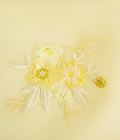 HECO Chinese double-layer tulle flesh covering elastic ballet style vest two-piece - LEVI.