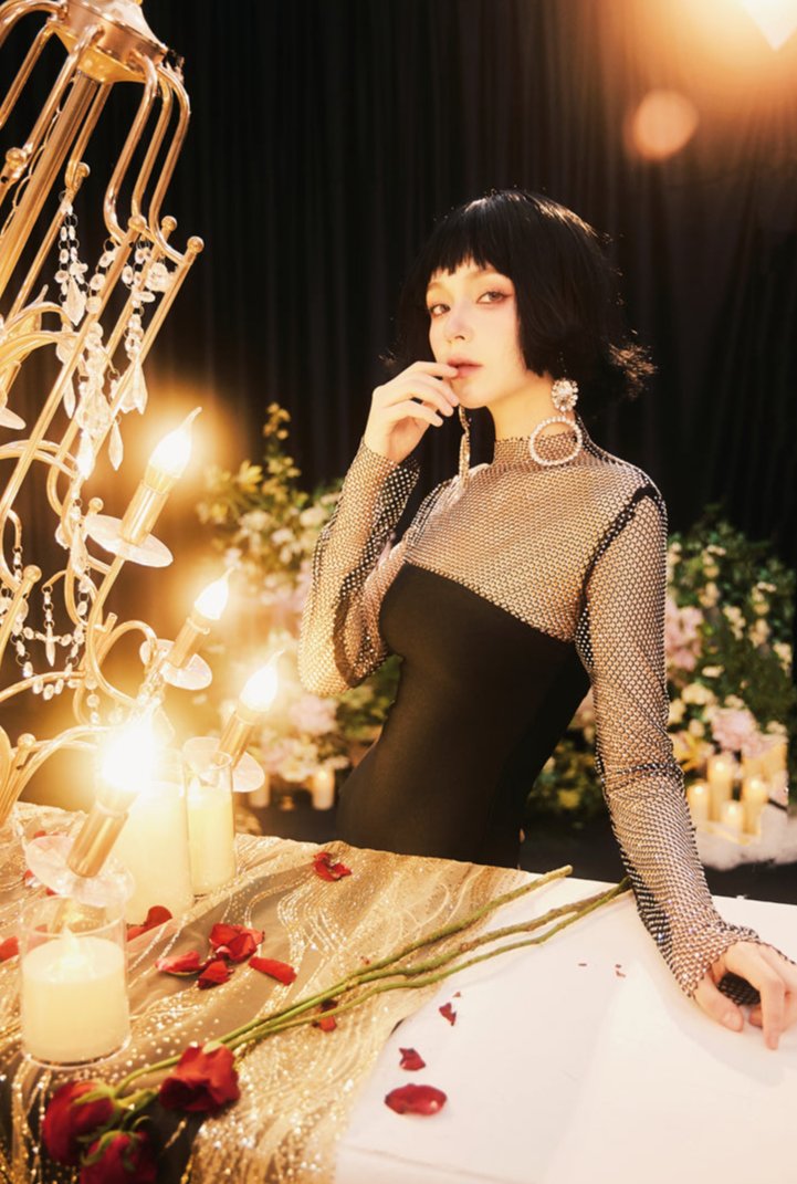 DOLLY Elegant Black Queen Style Turtle Neck Long Sleeve Slim Fit Long Dinner Dress-ELUALIA