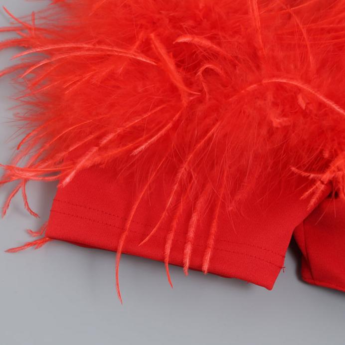 DOLLY Luxury Black Feather Tube Top Waist Baring Slim Fit Long Cocktail Dress-JAJA