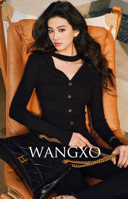WANGXO | Double-Woven Crushed Silver Silk Knit V-Neck Slim-Fit Top-YANI.