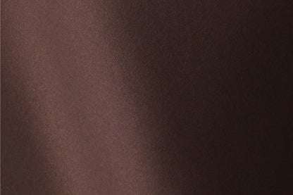 AUI Maillard coffee color high-end satin temperament high-waisted hip skirt - Gyeong.