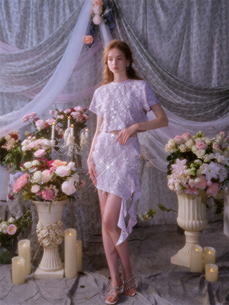Wardrobes by Chen Elegant Short Sleeve Diamond Feather Top/Short Skirt- Milo