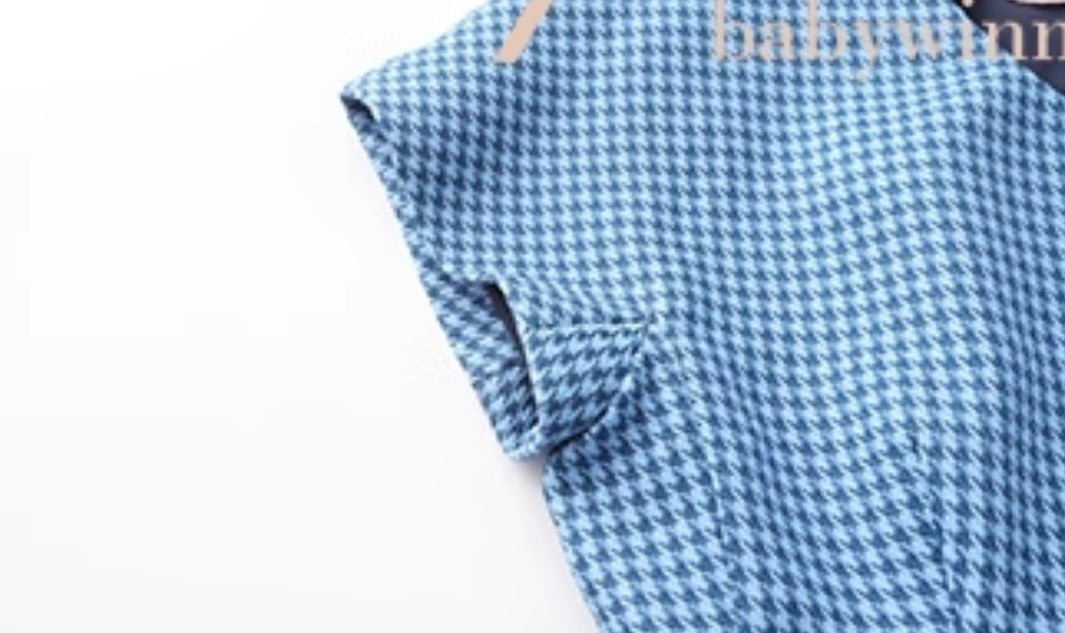 Le Palais Vintage Classic Red and Blue Contrasting Small Plaid Dress-RINDOU.