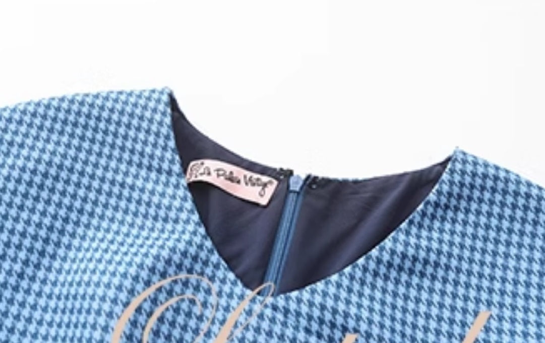 Le Palais Vintage Classic Red and Blue Contrasting Small Plaid Dress-RINDOU.