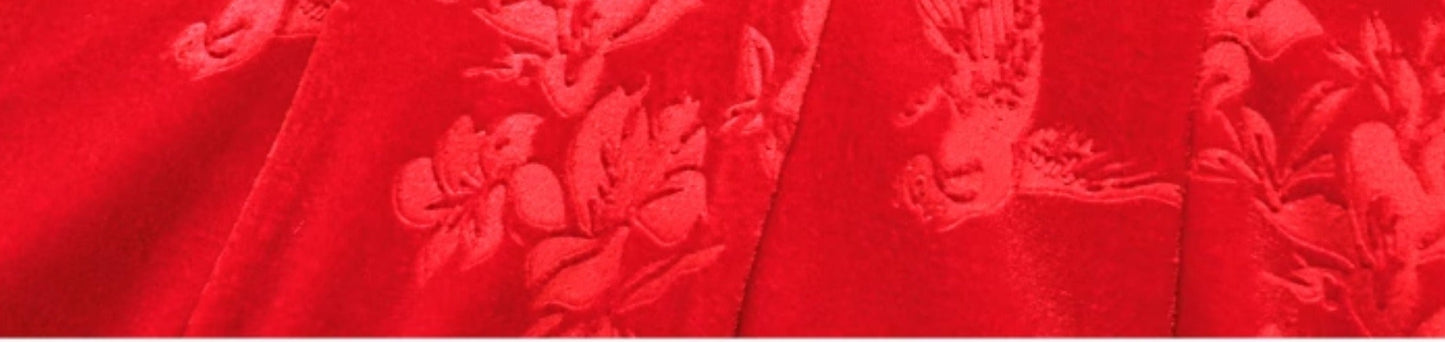 HECO Velvet Embossed Red Black Long Dress Women's- EXPECT.