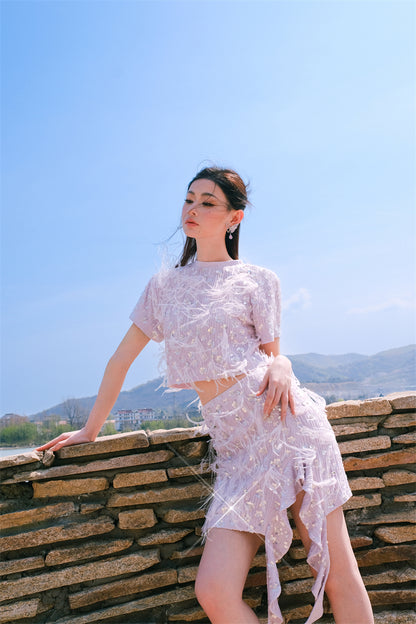 Wardrobes by Chen Elegant Short Sleeve Diamond Feather Top/Short Skirt- Milo