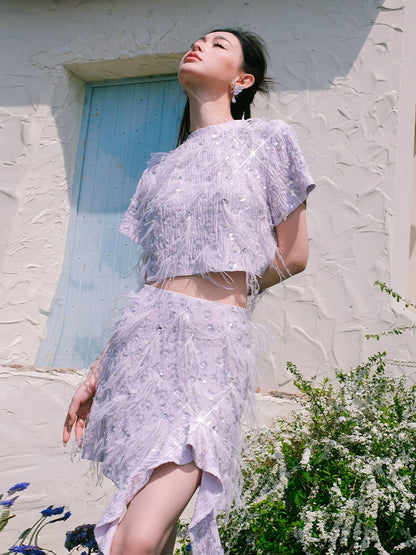 Wardrobes by Chen Elegant Short Sleeve Diamond Feather Top/Short Skirt- Milo