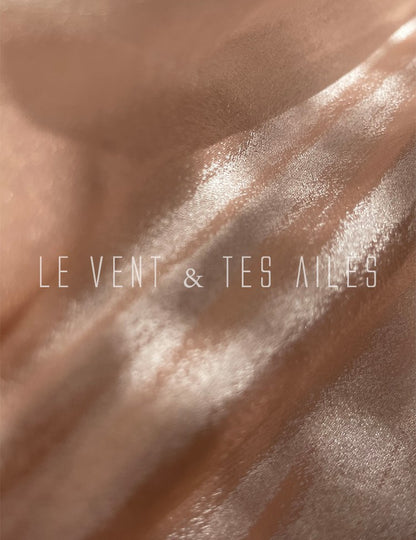 LE VENT&TES AILES French romantic luxury full midi summer skirt -RINA