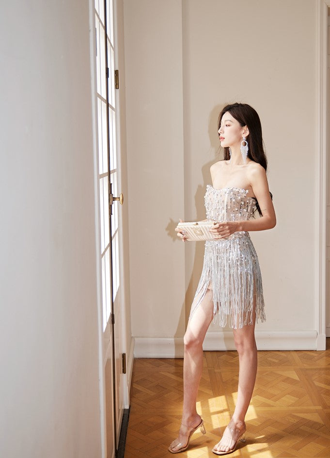 DOLLY Elegant Chest Wrap Glittering Tassel Tube Top Beaded Short Sexy Dress-LENORA  (V)