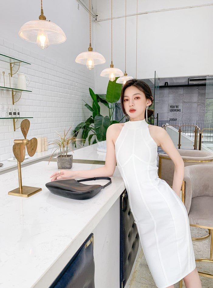 DOLLY Elegant Sleeveless Stand Collar Body Hug Midi Sexy Date Dress-NAT