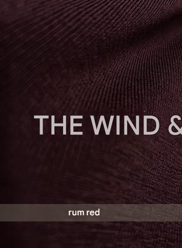 LE VENT&TES AILES seamless Yangtze yarn wool high-neck knit turtle neck-FEY