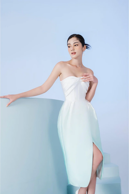 Early Spring 2023 new tube top pleated waist gradient dress- Nila