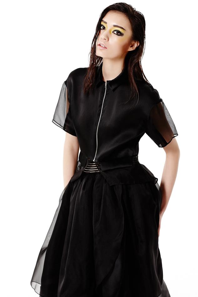 Organza pleated swing double skirt and blouse suit set- Miro